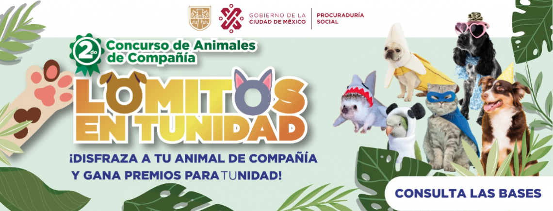 2do Concurso de animales de compañía Lomitos en TUnidad