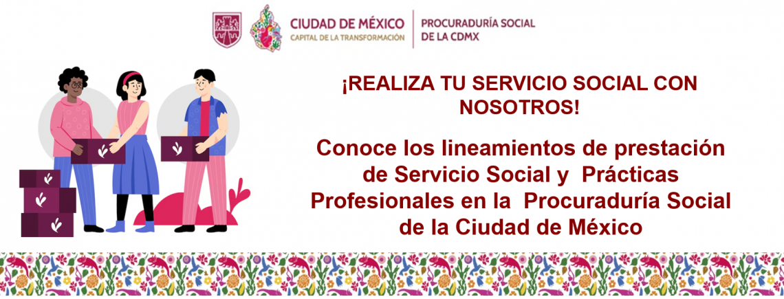Servicio Social